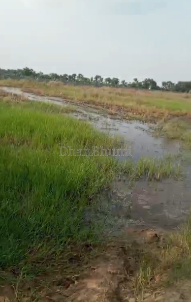 property_images/agricultural_in_mathura_1789627771_6aab8d7b581bf.png