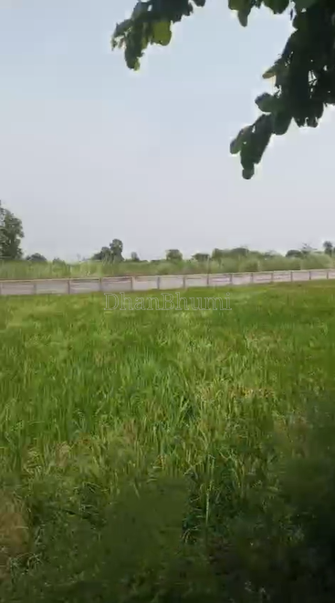 property_images/agricultural_in_mathura_1789628146_6aab8ef214ced.png