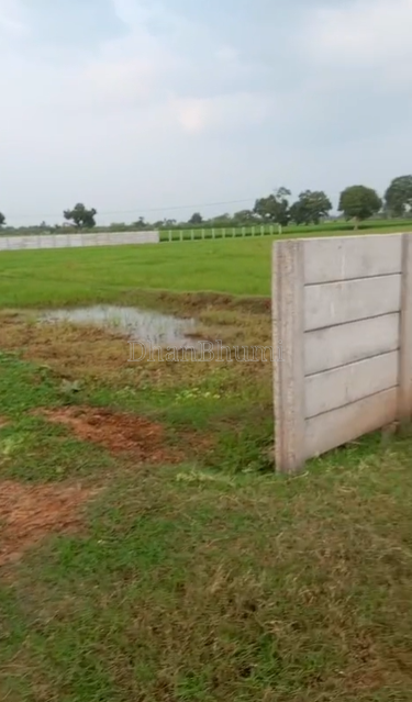 property_images/agricultural_in_mathura_1789628948_6aab9214c02ee.png