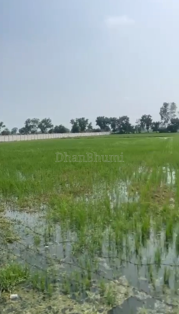 property_images/agricultural_in_mathura_1789629209_6aab931989317.png