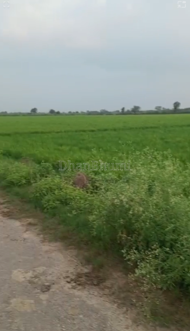 property_images/agricultural_in_mathura_1789629467_6aab941b3a5a9.png