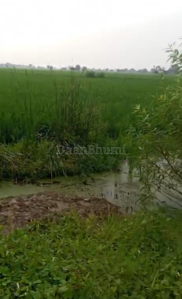 property_images/agricultural_in_mathura_1789629775_6aab954f81878.png