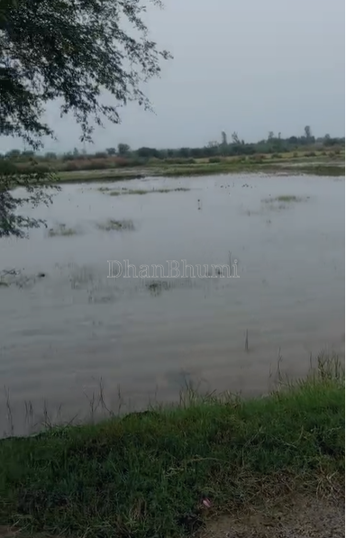 property_images/agricultural_in_mathura_1789630688_6aab98e04018d.png