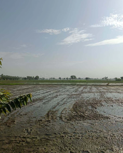 property_images/agricultural_in_mathura_1789717934_6aacedae56a57.png
