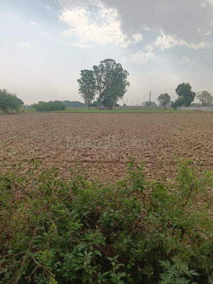 property_images/agricultural_in_mathura_1789718122_6aacee6a92384.png