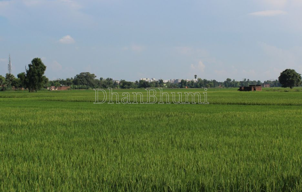 property_images/agricultural_in_mathura_1789981544_6ab0f368afedb.PNG