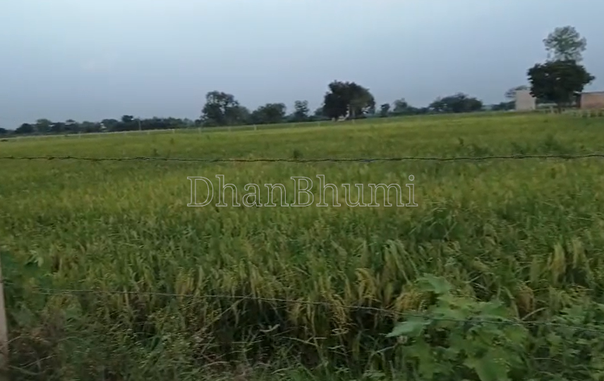 property_images/agricultural_in_mathura_1790143225_6ab36af972195.png