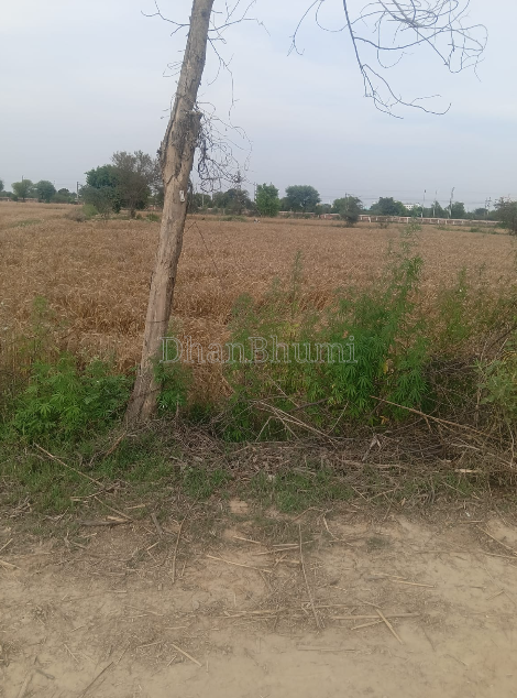 property_images/agricultural_in_mathura_1790424900_6ab7b74477fbc.PNG