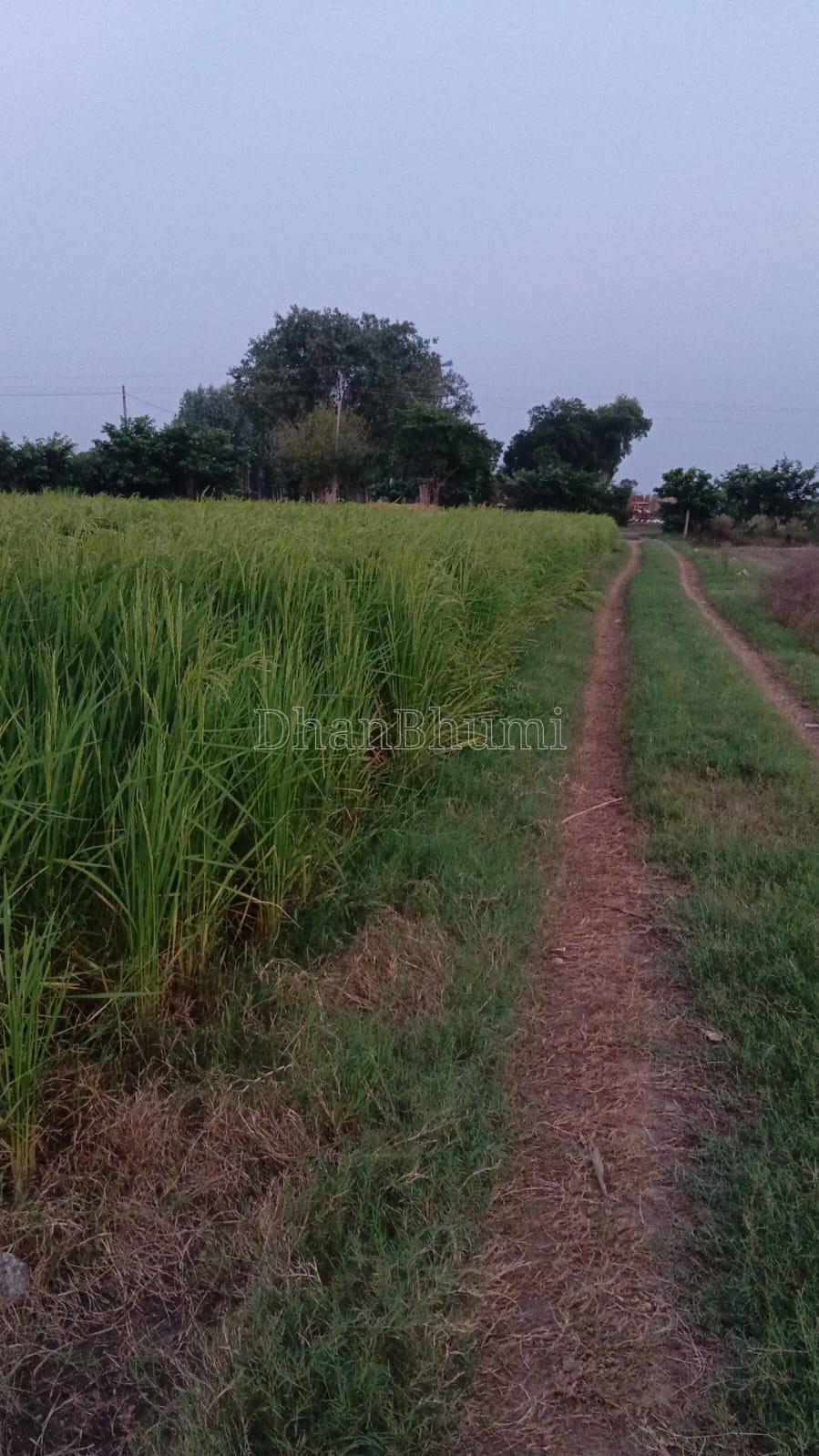 property_images/agricultural_in_mathura_1790664263_6abb5e47dfe05.jpeg