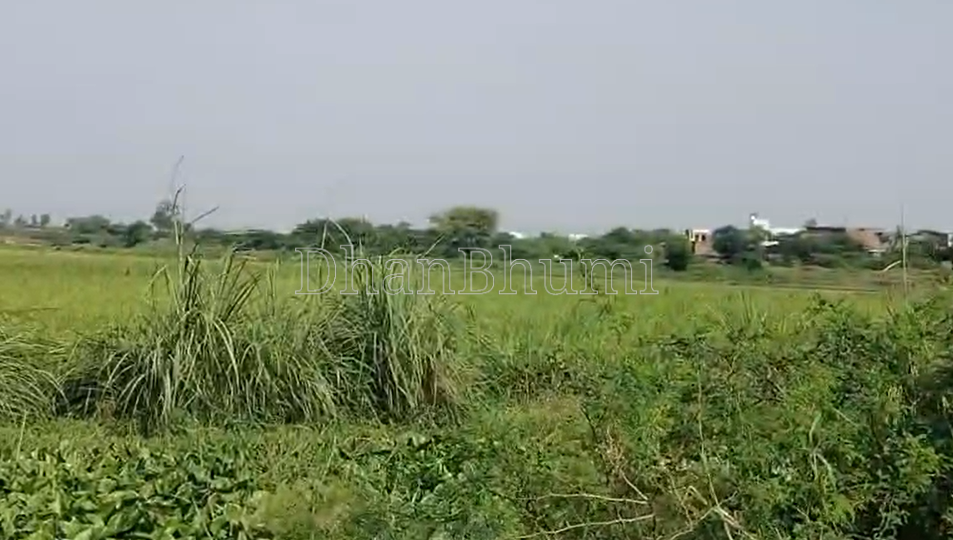 property_images/agricultural_in_mathura_1791878238_6acde45e278de.png