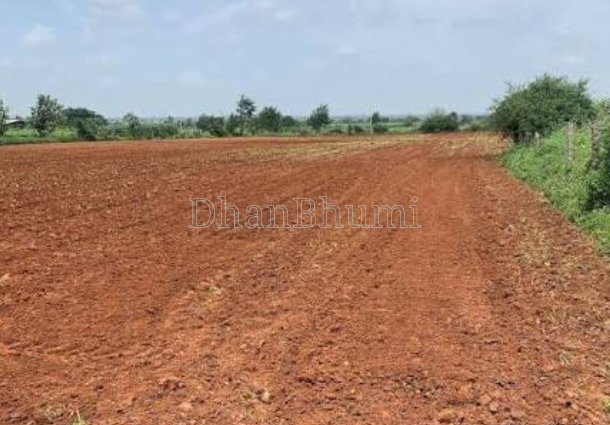 property_images/agricultural_in_mau_1792050525_6ad0855d4662a.png