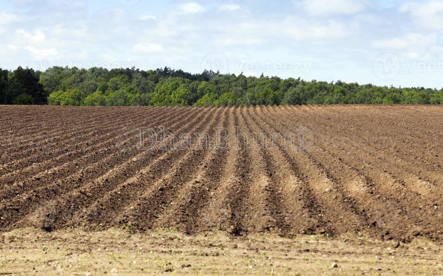 property_images/agricultural_in_mauganj_1786168338_6a76c41246198.png