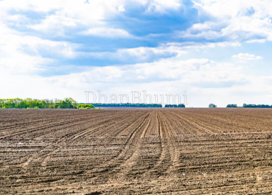 property_images/agricultural_in_mauganj_1786168545_6a76c4e15a54f.png