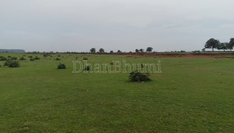 property_images/agricultural_in_mauganj_1788852909_6a9fbaada19fc.png