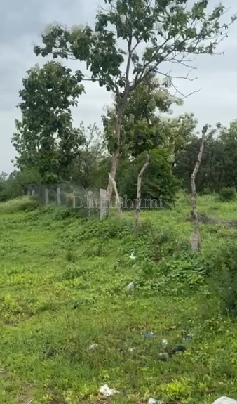 property_images/agricultural_in_medak_1790751374_6abcb28e6e432.png