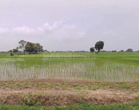 property_images/agricultural_in_meerut_1781680545_6a3249a1841af.PNG