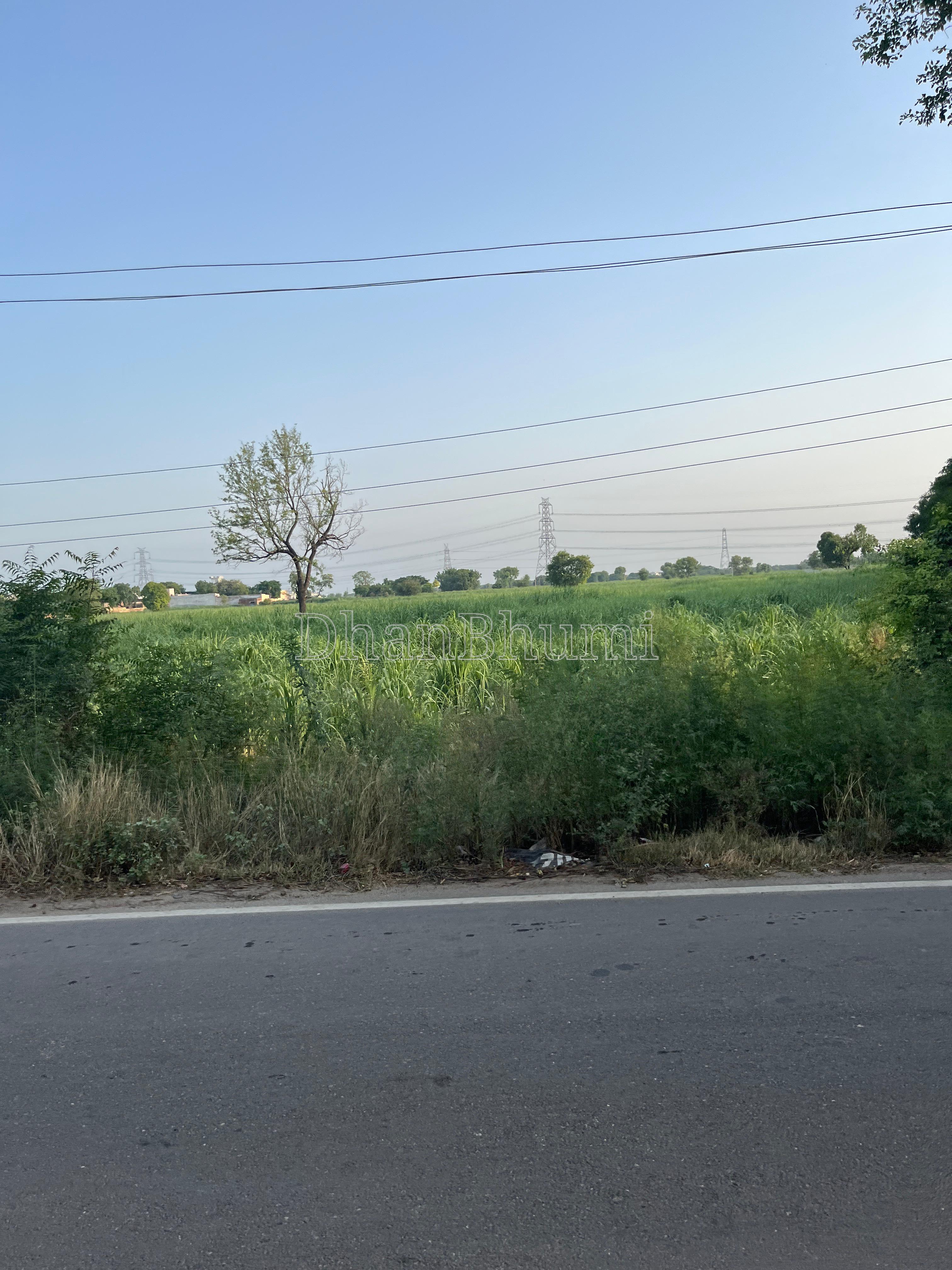 property_images/agricultural_in_meerut_1781757094_6a3374a68e83c.jpg