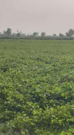 property_images/agricultural_in_meerut_1782376866_6a3ce9a28d5cf.PNG
