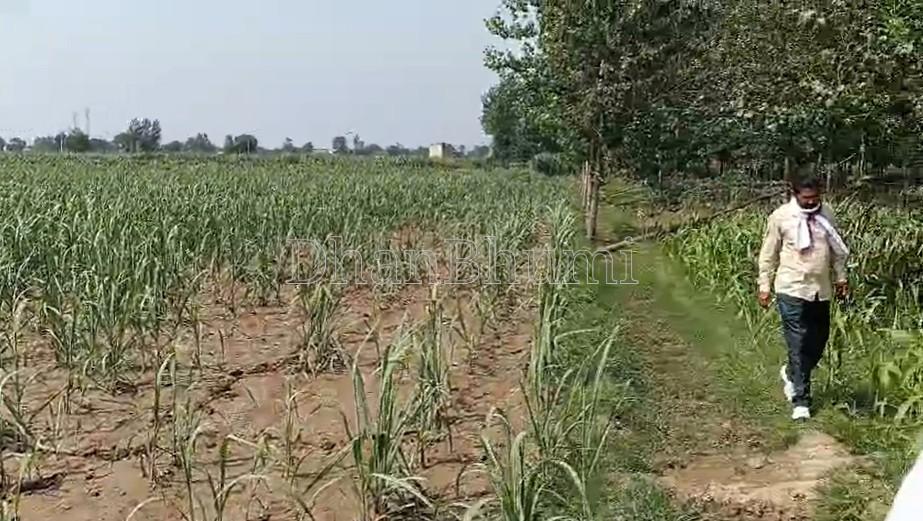 property_images/agricultural_in_meerut_1782377787_6a3ced3b0b543.jpg