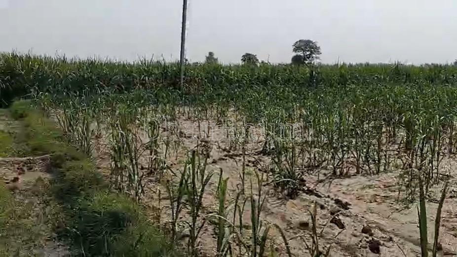 property_images/agricultural_in_meerut_1782377787_6a3ced3b20851.jpg