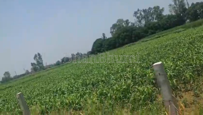 property_images/agricultural_in_meerut_1782378683_6a3cf0bb75898.png