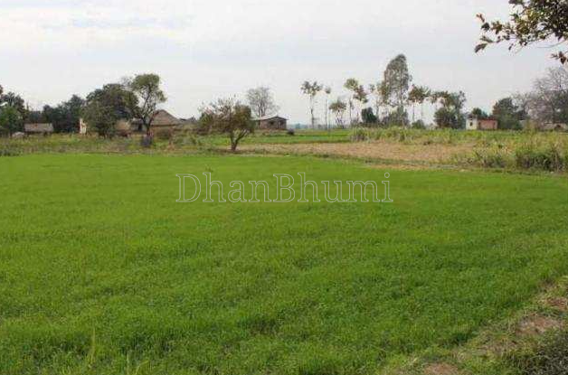 property_images/agricultural_in_meerut_1784373531_6a5b611b2cfa3.PNG