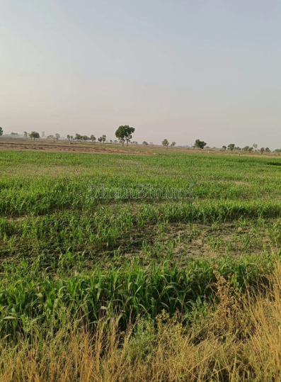 property_images/agricultural_in_meerut_1784379228_6a5b775ca6075.PNG
