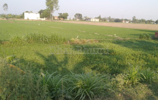 property_images/agricultural_in_meerut_1787740443_6a8ec11be27cd.png