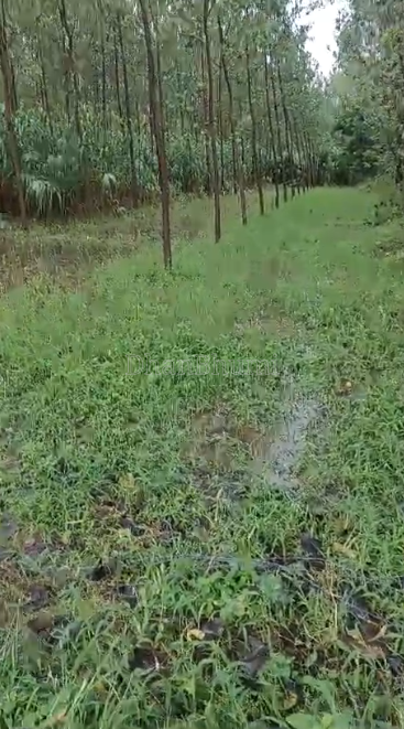 property_images/agricultural_in_meerut_1789024142_6aa2578e90ae5.PNG