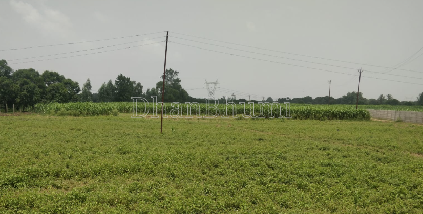 property_images/agricultural_in_meerut_1790253362_6ab51932c6deb.PNG