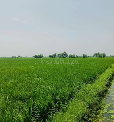 property_images/agricultural_in_meerut_1792574033_6ad8825144fe0.png