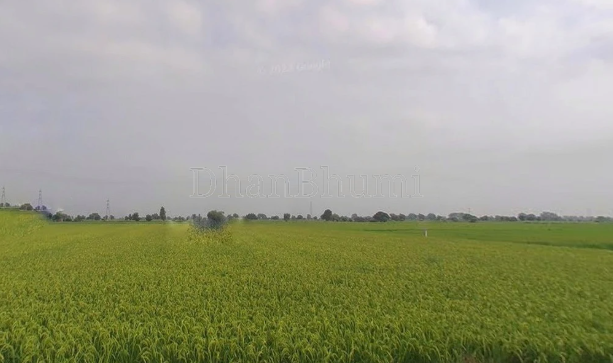 property_images/agricultural_in_meerut_1792575379_6ad88793e644a.png