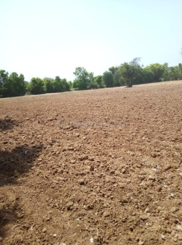 property_images/agricultural_in_mehsana_1786361553_6a79b6d1c409a.png