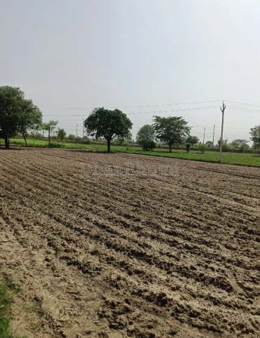 property_images/agricultural_in_mehsana_1786361975_6a79b877b41eb.png