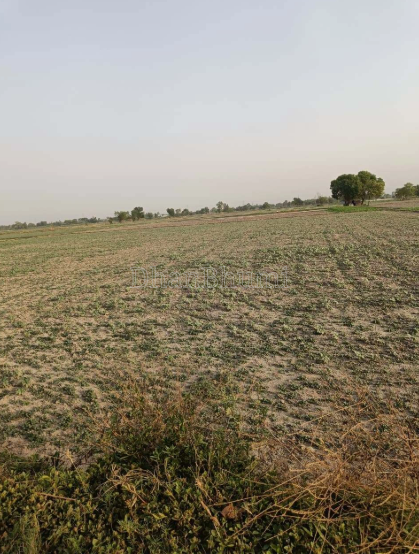 property_images/agricultural_in_mewat_1783072663_6a4787976c805.PNG