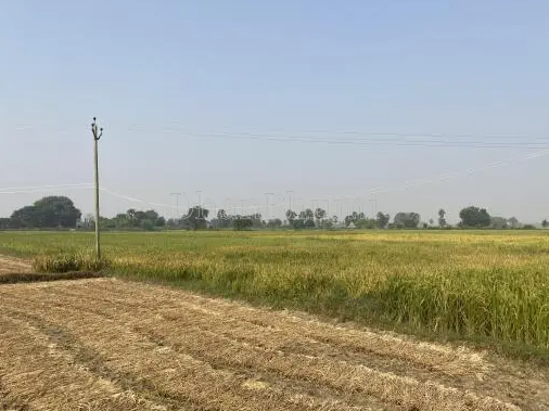 property_images/agricultural_in_mirzapur_1786609237_6a7d7e550ab9e.PNG
