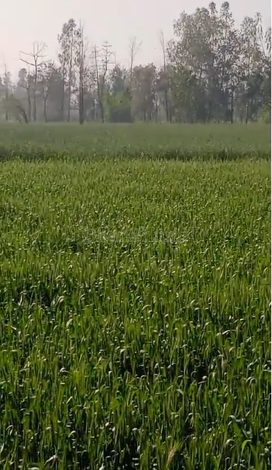 property_images/agricultural_in_moradabad_1785914149_6a72e325dd058.png