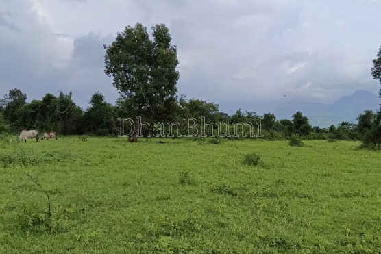 property_images/agricultural_in_mumbai_1789119279_6aa3cb2ff23b2.png