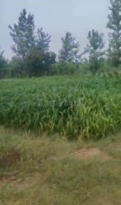 property_images/agricultural_in_muzaffarnagar_1782379039_6a3cf21f5a7e2.jpg