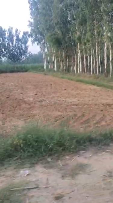 property_images/agricultural_in_muzaffarnagar_1782379039_6a3cf21f5e1ae.jpg
