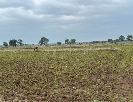 property_images/agricultural_in_muzaffarnagar_1785410231_6a6b32b7ae39a.PNG
