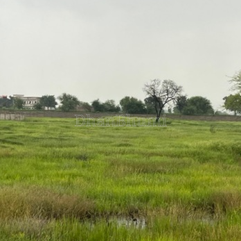 property_images/agricultural_in_muzaffarnagar_1785411381_6a6b3735c2b0a.PNG