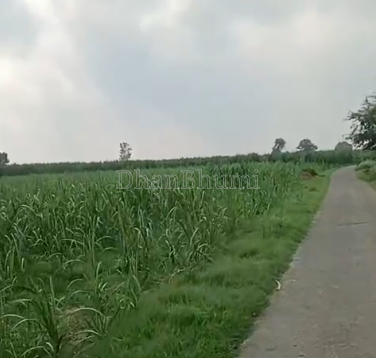 property_images/agricultural_in_muzaffarnagar_1787650529_6a8d61e1010f3.PNG