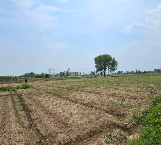 property_images/agricultural_in_muzaffarnagar_1789376605_6aa7b85da358c.png