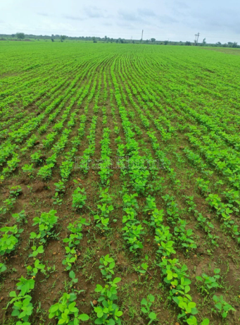 property_images/agricultural_in_muzaffarnagar_1789624960_6aab8280b8b35.PNG