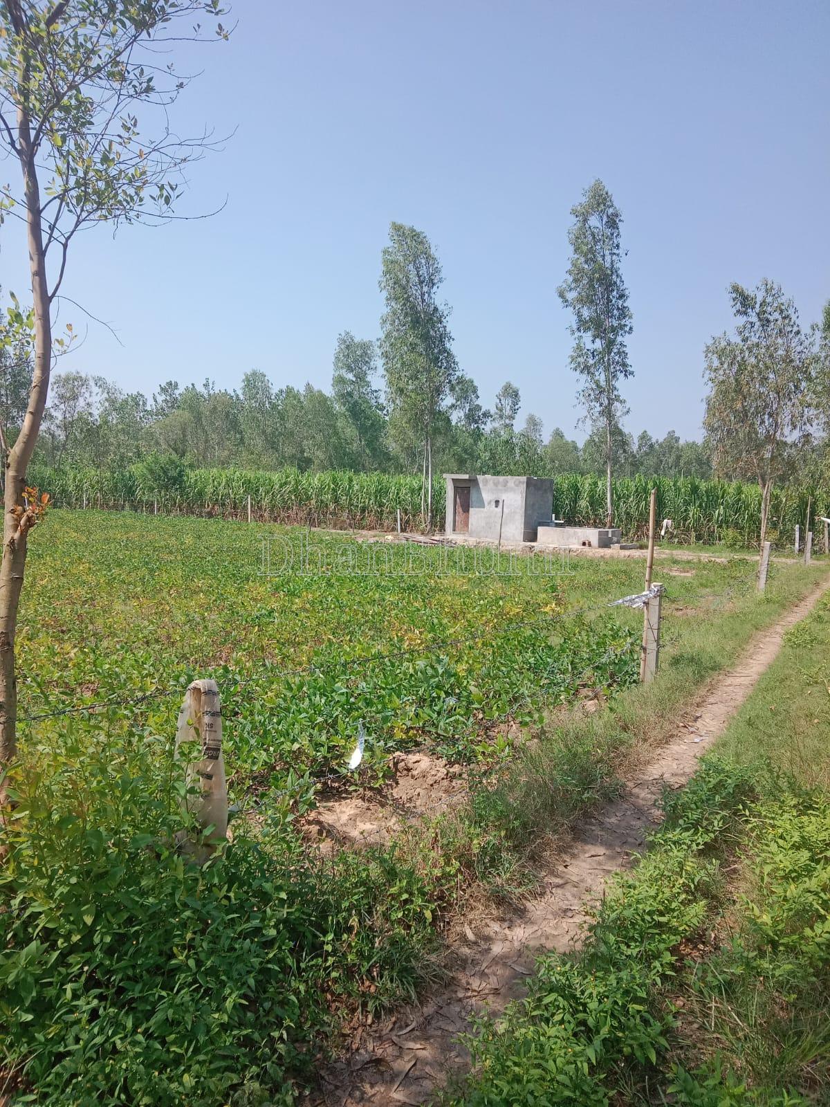 property_images/agricultural_in_muzaffarnagar_1791614578_6ac9de7209d37.jpeg