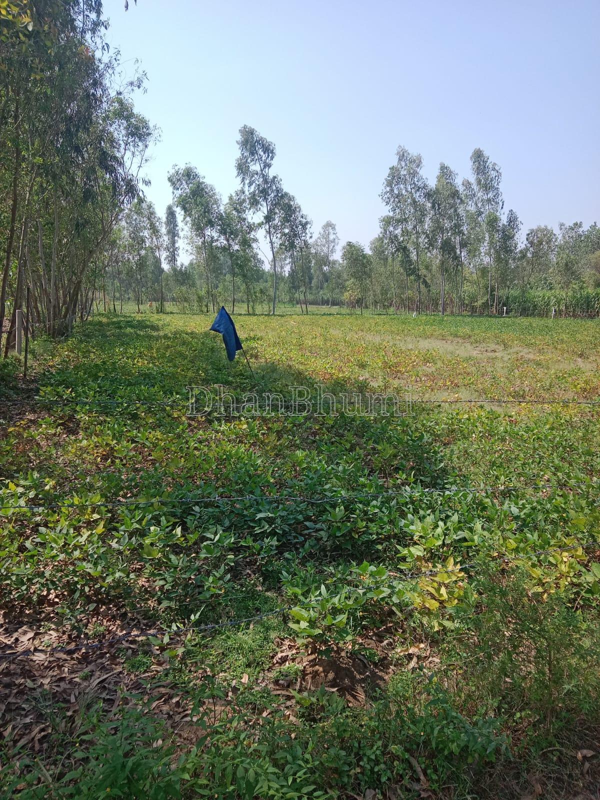 property_images/agricultural_in_muzaffarnagar_1791614578_6ac9de7220c02.jpeg