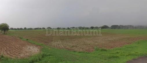 property_images/agricultural_in_nagaon_1781075231_6a290d1f9ca66.jpg