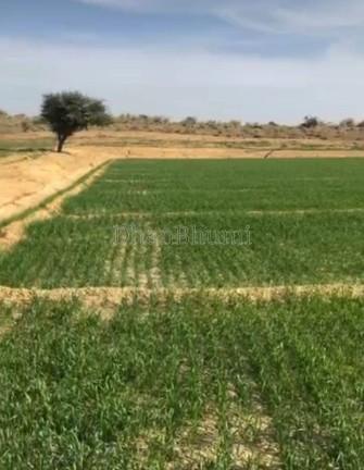 property_images/agricultural_in_nagaur_1781342448_6a2d20f030b0d.jpg