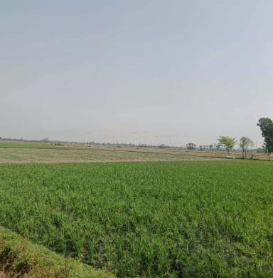 property_images/agricultural_in_nagaur_1781343686_6a2d25c6e147c.jpg